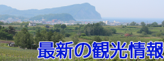 最新の観光情報