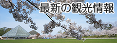 最新の観光情報