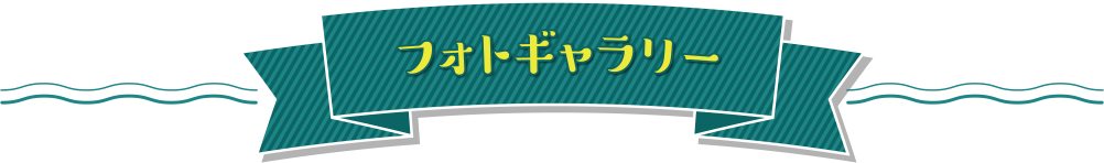 フォトギャラリー