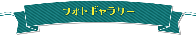 フォトギャラリー