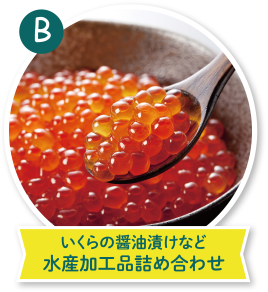 いくらの醤油漬けなど水産加工品詰め合わせ