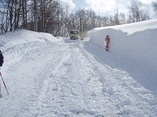 平成25年3月2日から3日にかけての暴風雪の写真その22