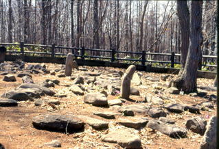 西崎山環状列石の写真