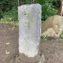 sono265