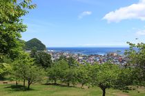 円山公園からの眺めの写真