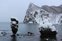 冬のえびす岩・大黒岩・烏帽子岬の写真