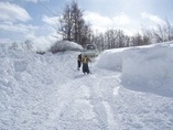 平成25年3月2日から3日にかけての暴風雪の写真その20