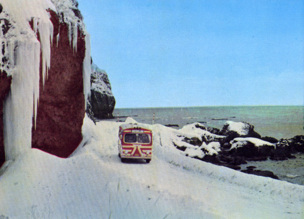 写真：白岩海岸を走るバス
