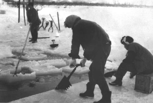 写真:氷の切り出し作業(昭和30年代)