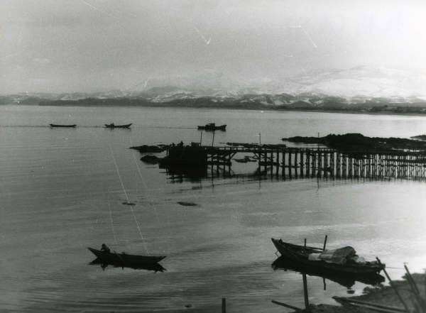 写真:モイレ桟橋の様子