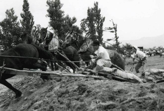 写真:警察裏山のばん馬競争