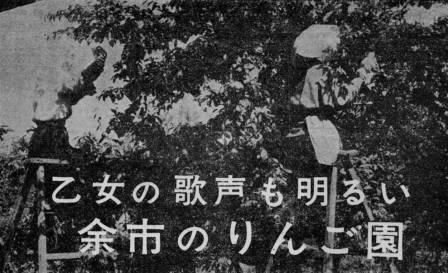 写真:『広報よいち』臨時号(昭和38年6月10日)の袋かけ募集記事 写真:『広報よいち』臨時号(昭和38年6月10日)の袋かけ募集記事