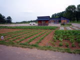 登市民農園の風景