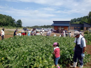 登市民農園の光景