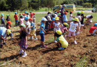 幼稚園児が市民農園で楽しそうにしている光景