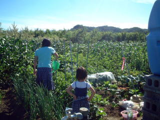 山田市民農園の風景