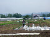 山田市民農園の風景