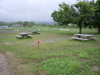 ベンチ