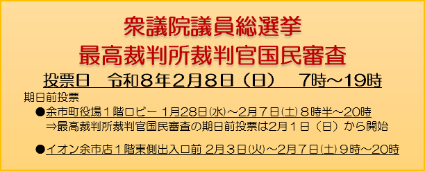 衆議院議員総選挙