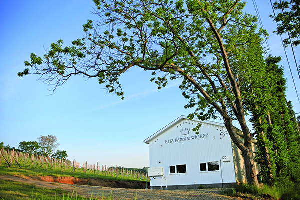 Rita Farm & Winery