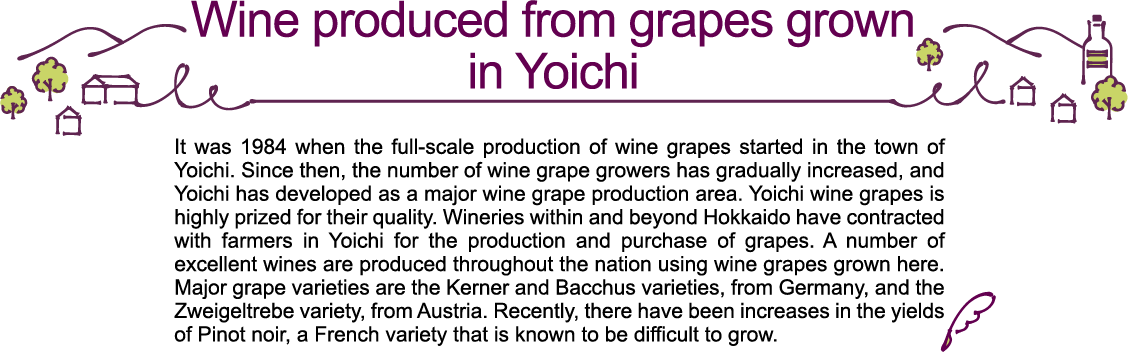 yoichi-wine