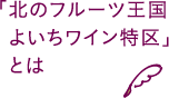 「北のフルーツ王国よいちワイン特区」とは